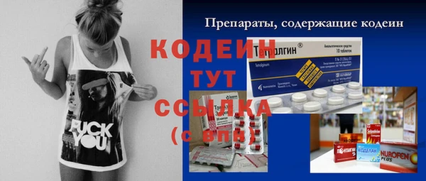 индика Бугульма