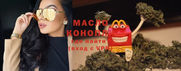 индика Бугульма