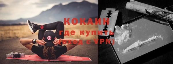 индика Бугульма