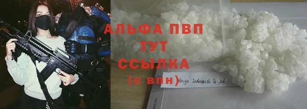 индика Бугульма