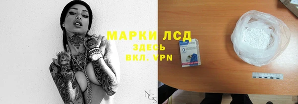 индика Бугульма
