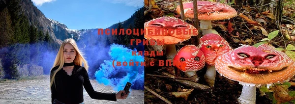 каннабис Бородино