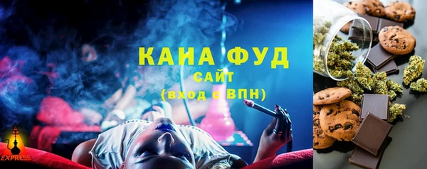индика Бугульма