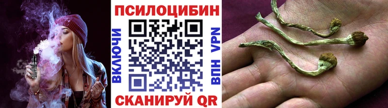 Псилоцибиновые грибы Psilocybine cubensis  mega онион  Сатка 